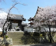 小野 来迎寺霊園